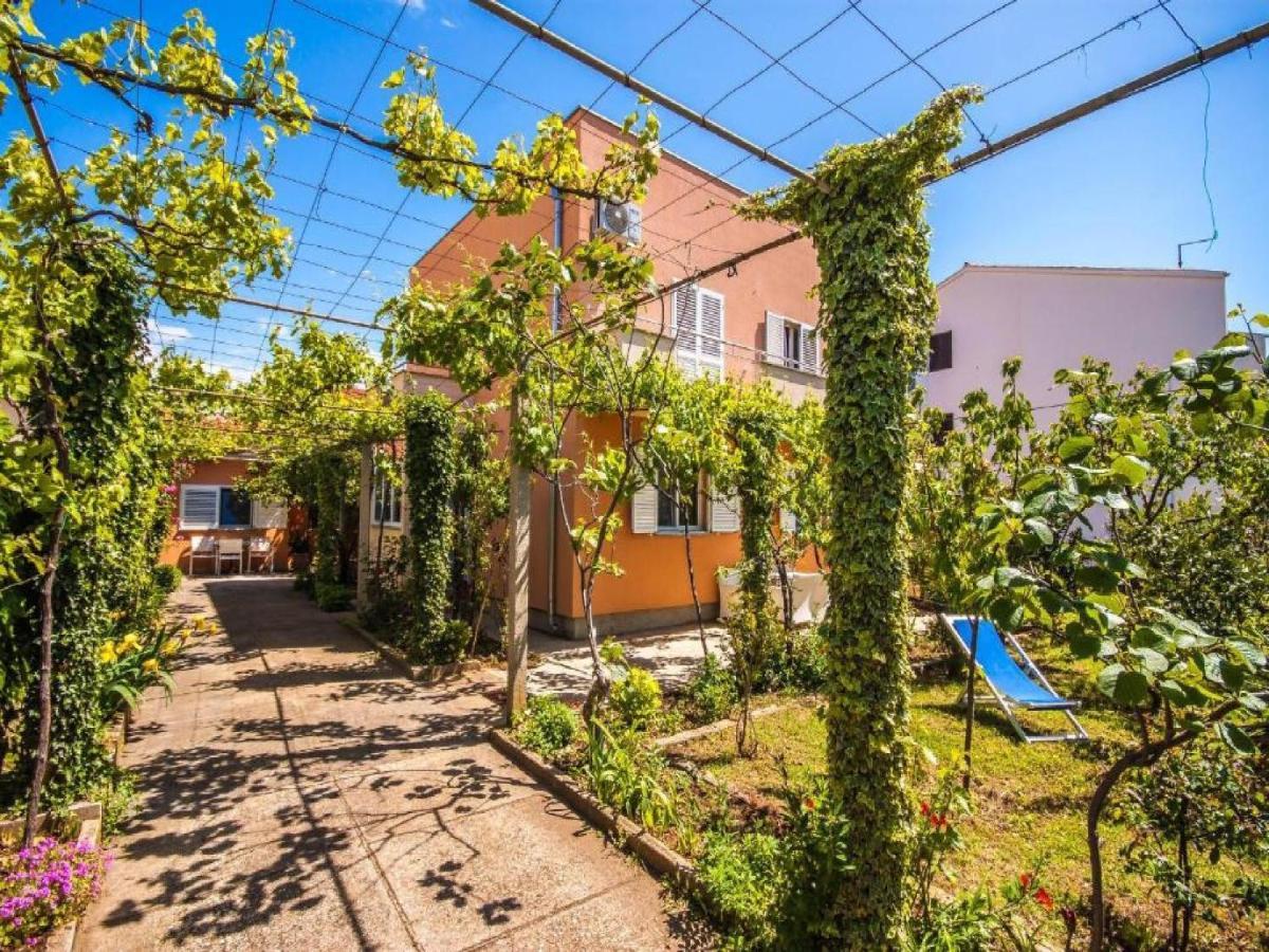זאדאר Apartments Amalia מראה חיצוני תמונה