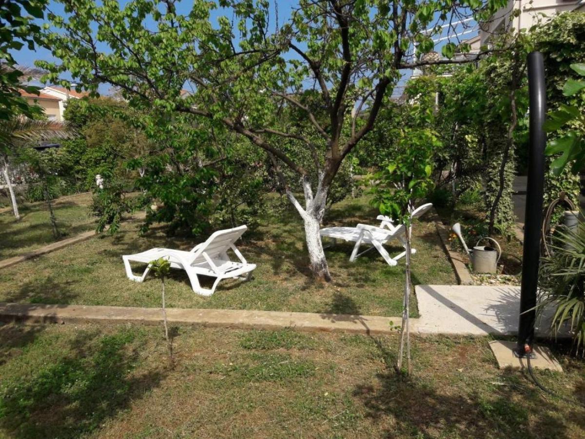 זאדאר Apartments Amalia מראה חיצוני תמונה