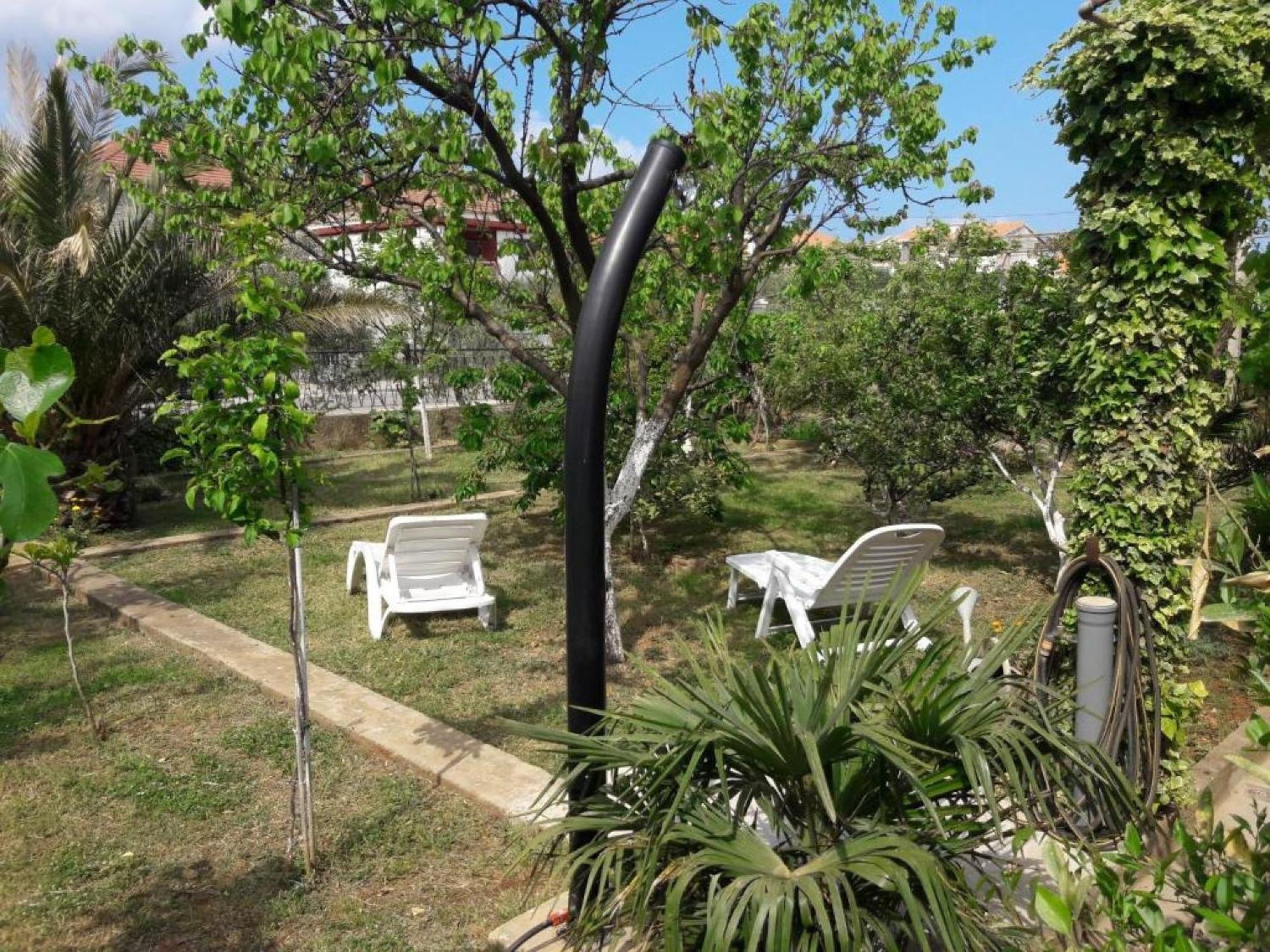 זאדאר Apartments Amalia חדר תמונה