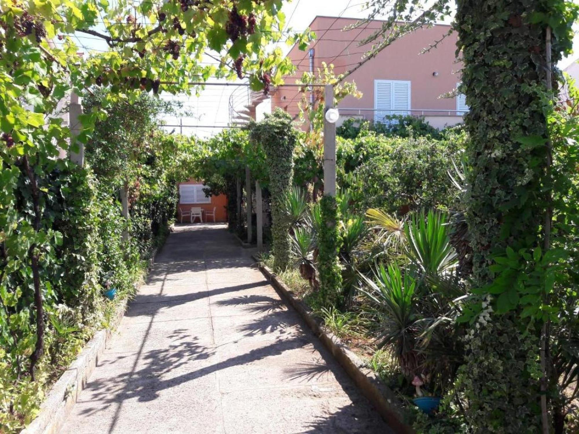 זאדאר Apartments Amalia חדר תמונה